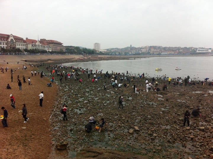 A group of people standing on top of a sandy beach.