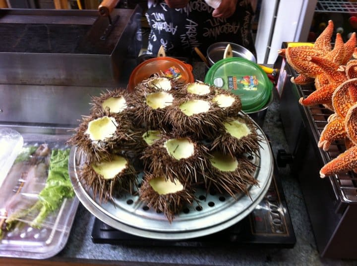 A plate of food on top of the stove.