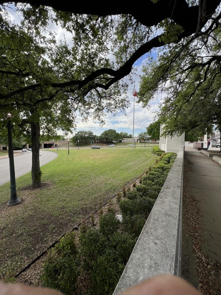 A view of trees and grass from the sidewalk.