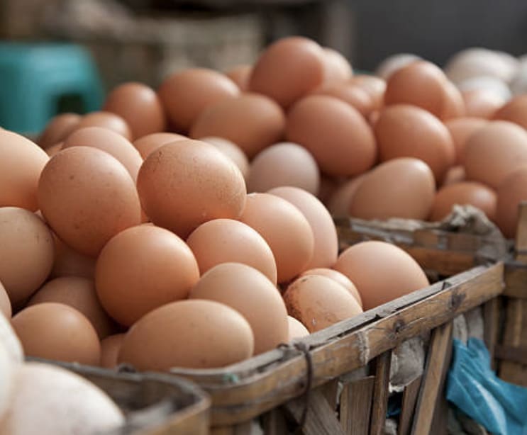 A close up of eggs in baskets on display