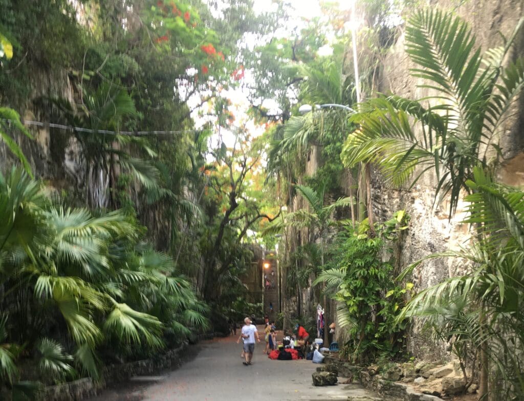 A street with many trees and people on it